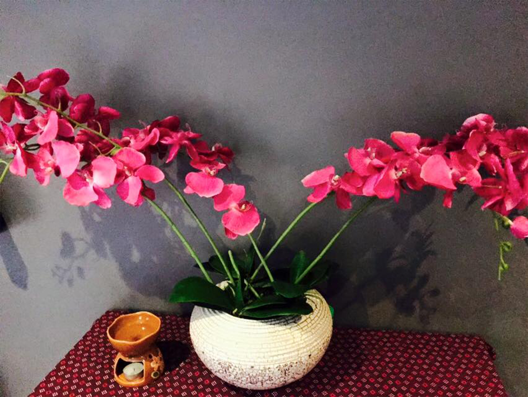 Salon images can go here